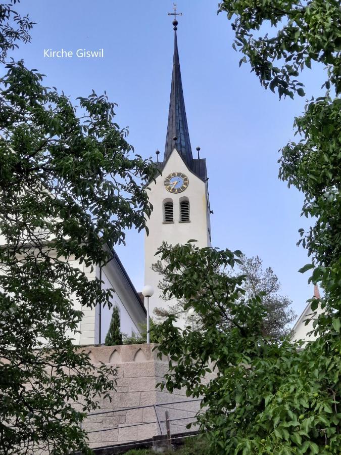Giswil Haus Nussbaumweg 6ヴィラ エクステリア 写真